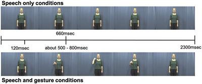 Children benefit from gestures to understand degraded speech but to a lesser extent than adults